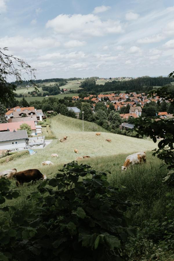 Ferienwohnung Alpenblick I Kamin I Private Sauna Wangen im Allgäu Extérieur photo