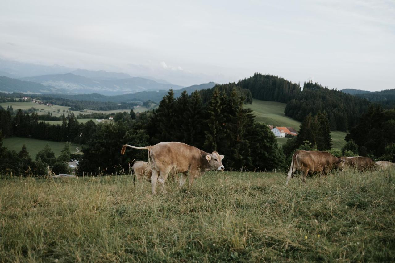 Ferienwohnung Alpenblick I Kamin I Private Sauna Wangen im Allgäu Extérieur photo
